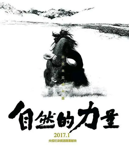 《自然的力量》：揭秘自然的奥秘与人类的脆弱