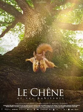 《橡树》：隐秘的救赎与希望，触动灵魂的法国乡村诗篇