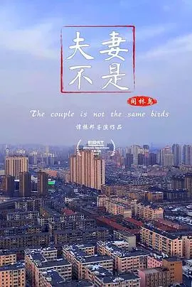《夫妻不是同林鸟》：都市婚姻困局，爱与欲的挣扎