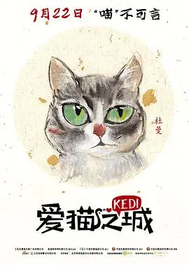 《爱猫之城英语》：喵星人视角下的生存与温情