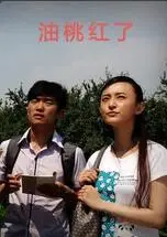 《油桃红了》：甜蜜与苦涩交织，看小人物如何用希望点亮生活，泪目推荐！