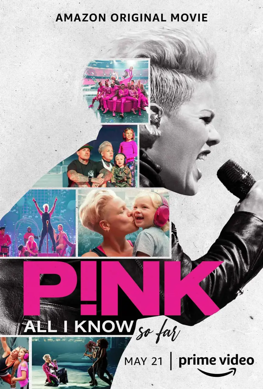 P!NK：我所知道的一切——流行女王的音乐人生，揭秘食物链顶端的华丽与真实