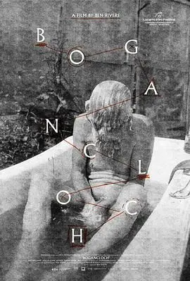 《林中空地》：失忆女子惊悚逃生，揭秘黑暗实验背后的真相与救赎！