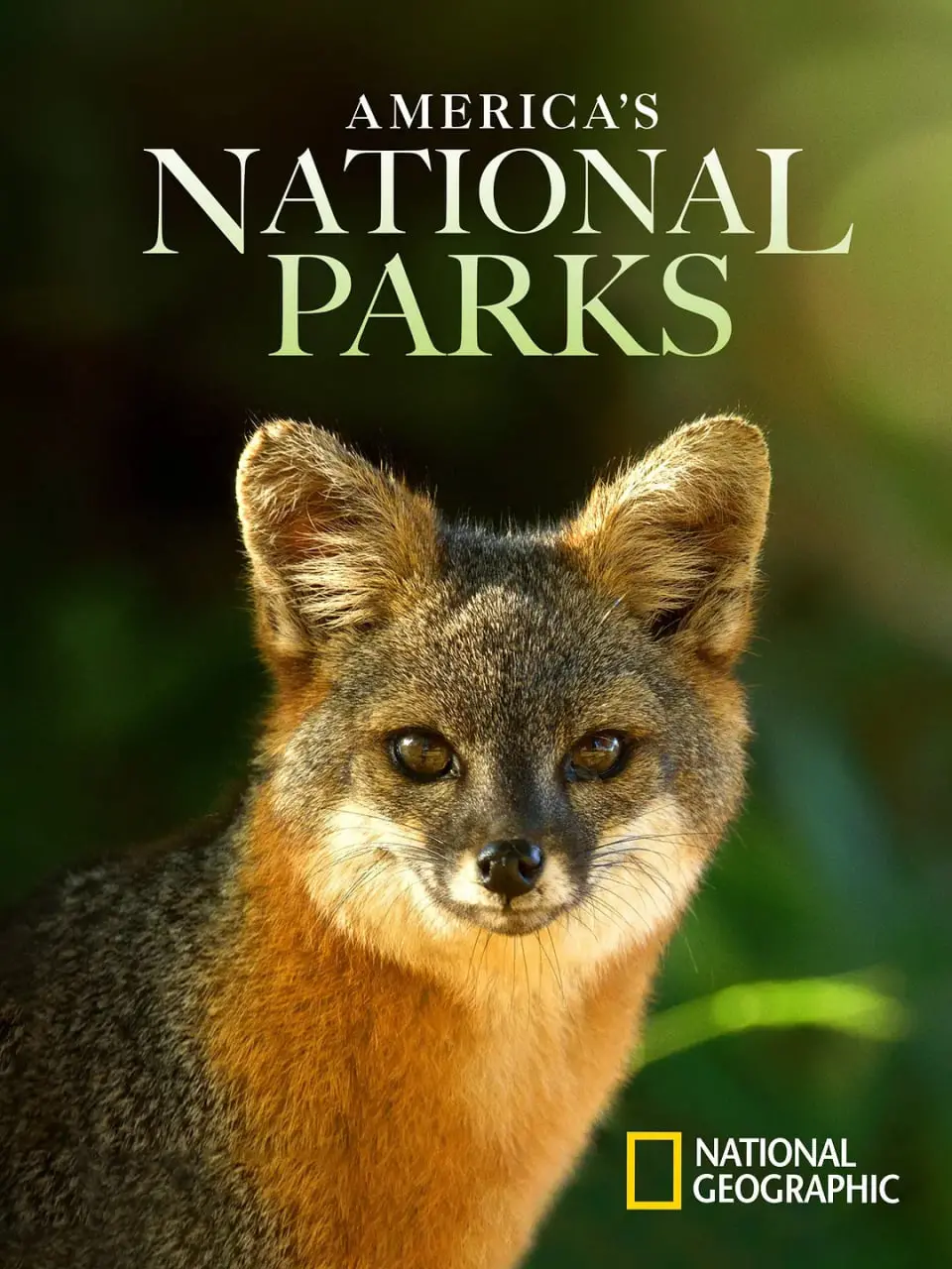 探索壮丽与神秘：《美国国家公园 第二季》带你领略自然奇观与生命故事！