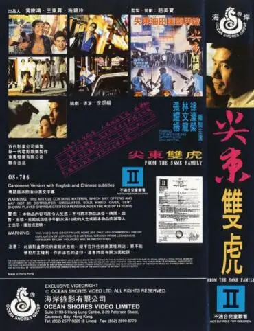 《尖东双虎》：港片黄金时代的兄弟情义与江湖恩仇，重温热血沸腾的岁月！